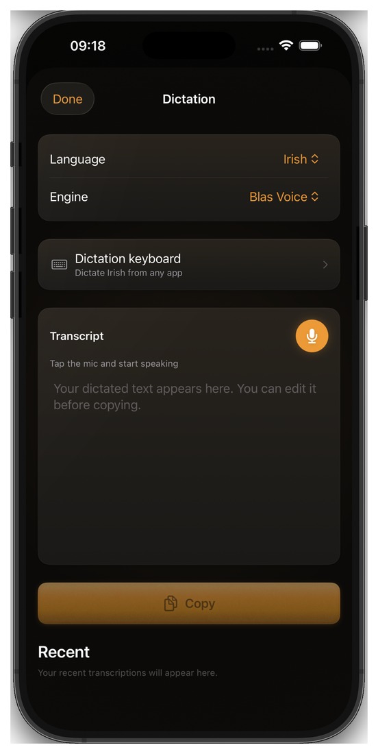 Irish dictation in the app